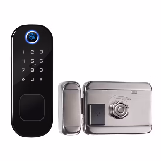 2023 Economic Fingerprint Password RFID Card Key Unlock Tuya APP Remote Control Smart Fingerprint Door Lock