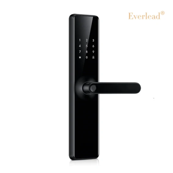 Everlead Outdoor RFID Digital Fingerprint Tuya APP Automatic Keyless Door Locks